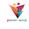 panornama ir