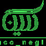 گروه صنعتی نگین