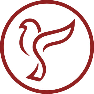 seregallery