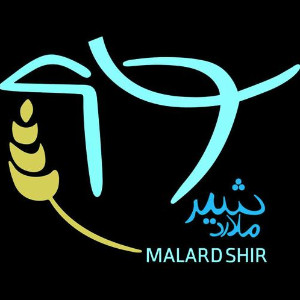 malard shir
