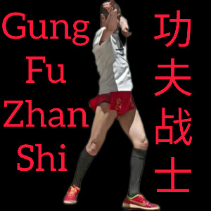 gungfuzhanshi3579