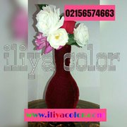 iliyacolor
