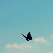 m_j110