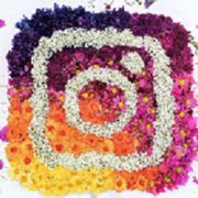 nistagram